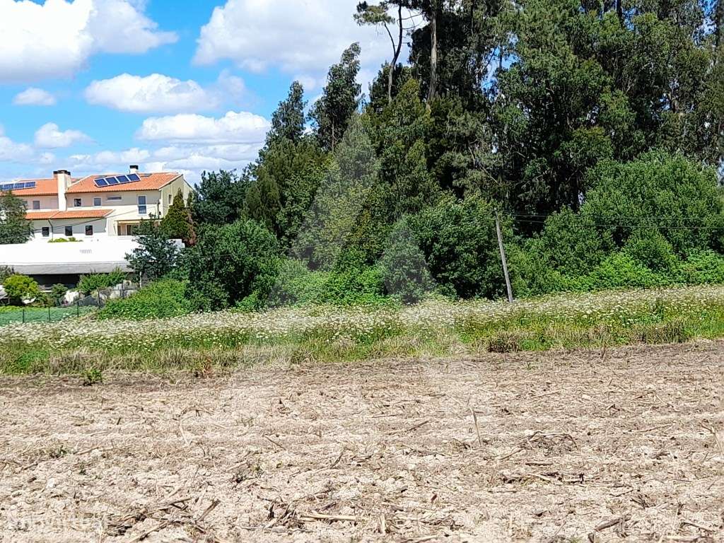 Terreno destinado a construção até 18 moradias na Patela, S.Bernardo - Grande imagem: 3/9