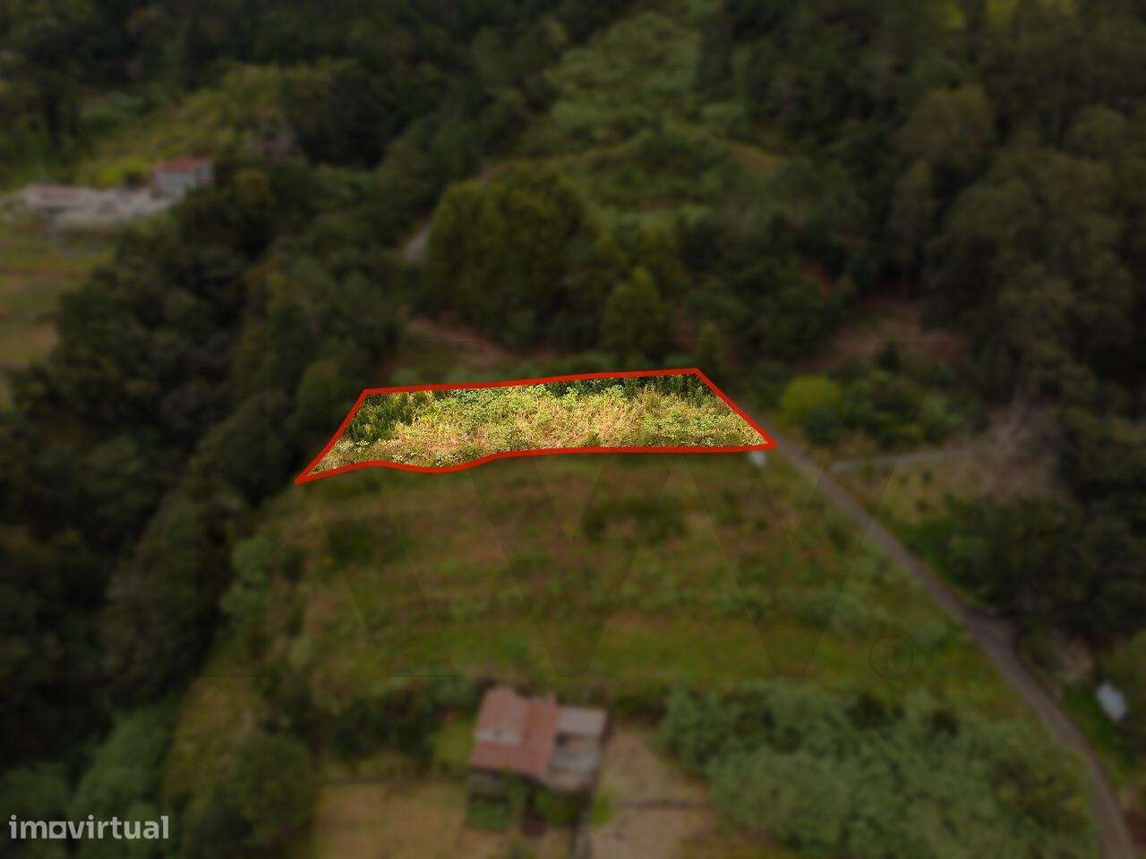 Lameiros, São Vicente – Terreno Plano e Fácil de Construir - Grande imagem: 5/15