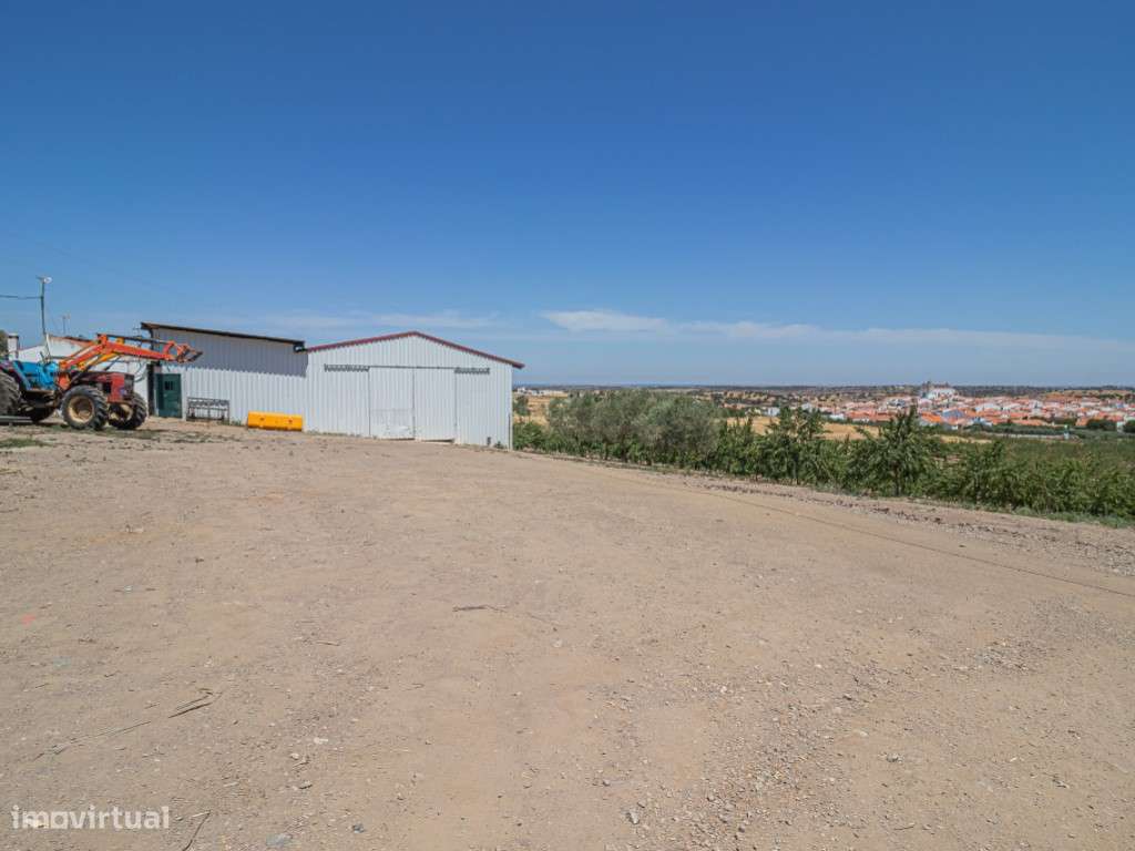 Quinta com 6,5 ha perto de Moura - Grande imagem: 4/55