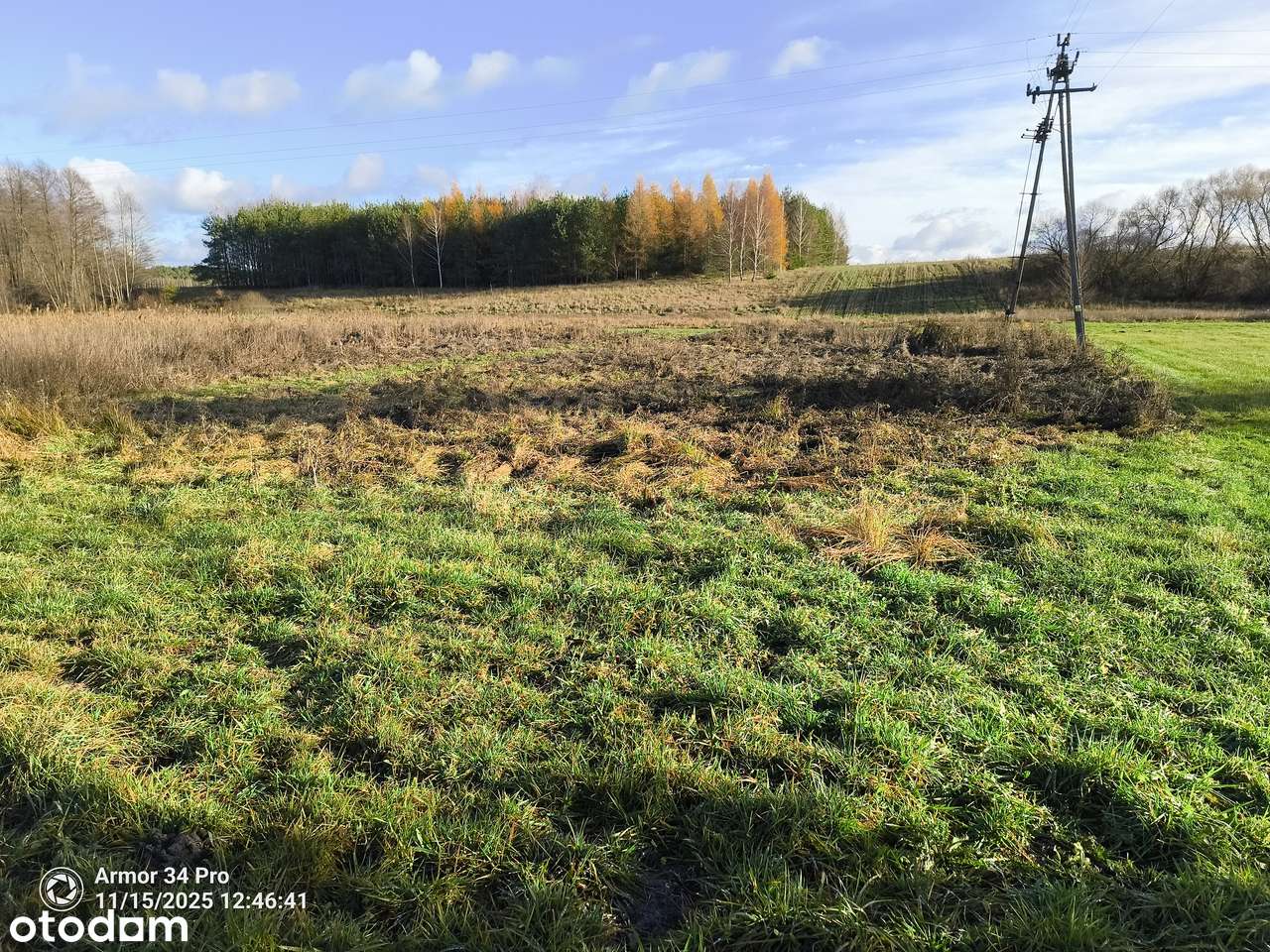 Działka z linią RZEKI Orla z WZ w Puszczy Białowieskiej, Pełne media-15