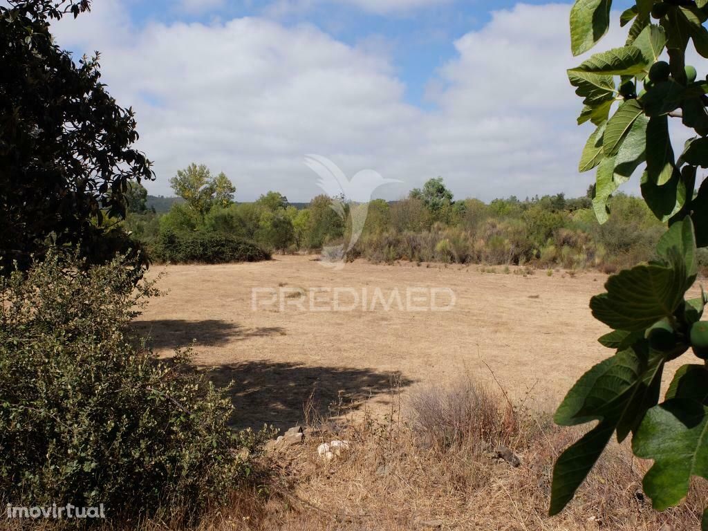 Terreno Rústico com ruína de arrumos agrícolas e bom acesso a  água