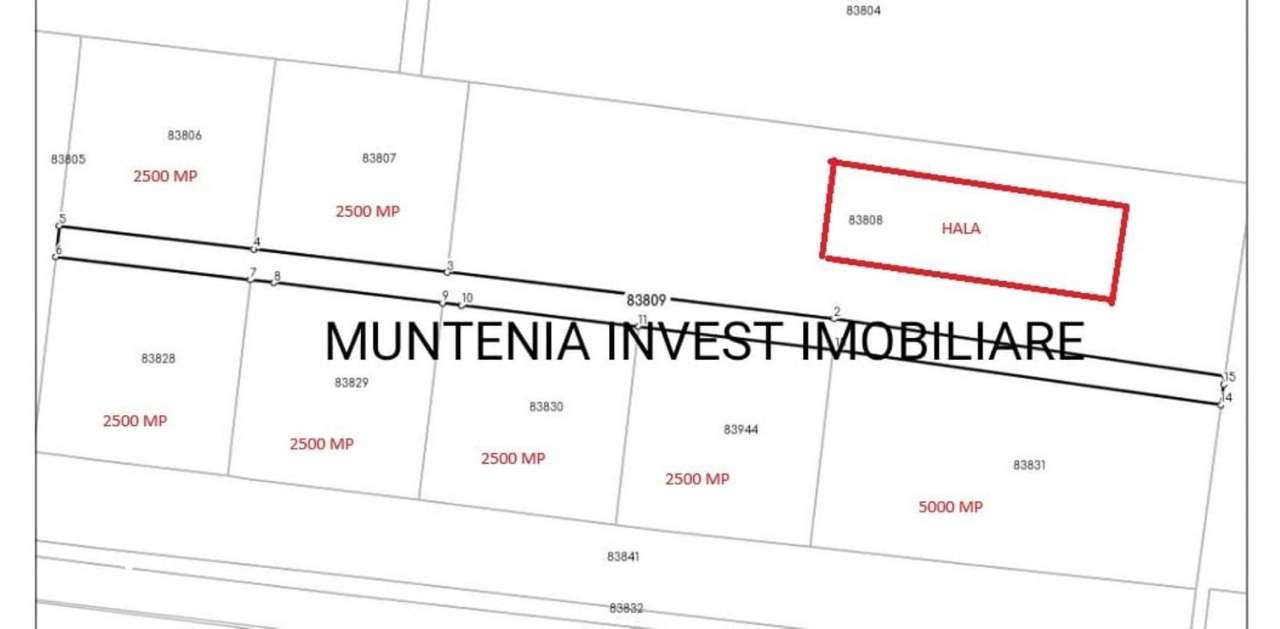Teren intravilan  57000mp. posibilitate parcelare, Zona Mărăcineni-5