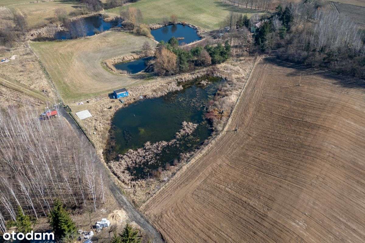 Działka z dużym stawem z WZ - Pełny obrazek: 5/11