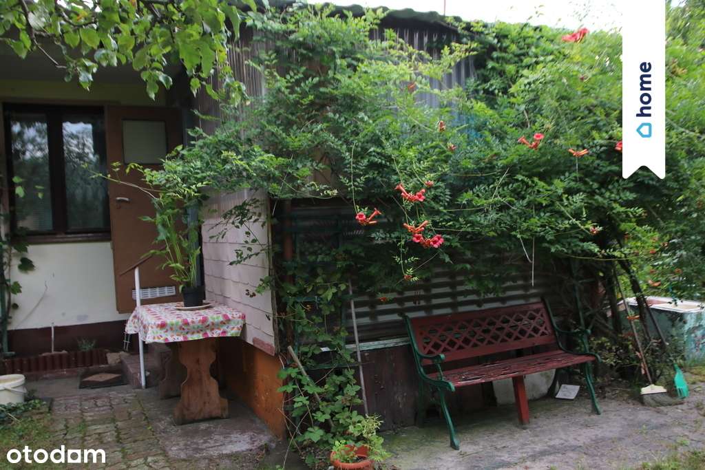 Rekreacyjna perełka – 320 m² w Bydgoszczy - Pełny obrazek: 5/18