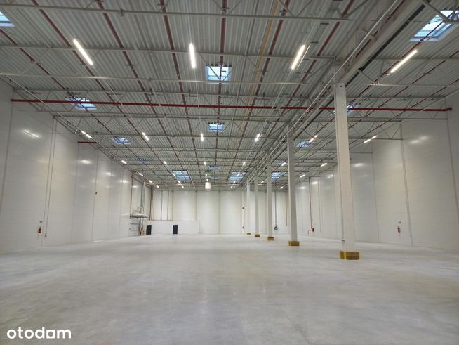 2800 m2 w LUBLINIE z biurem 300 m2, centrum!