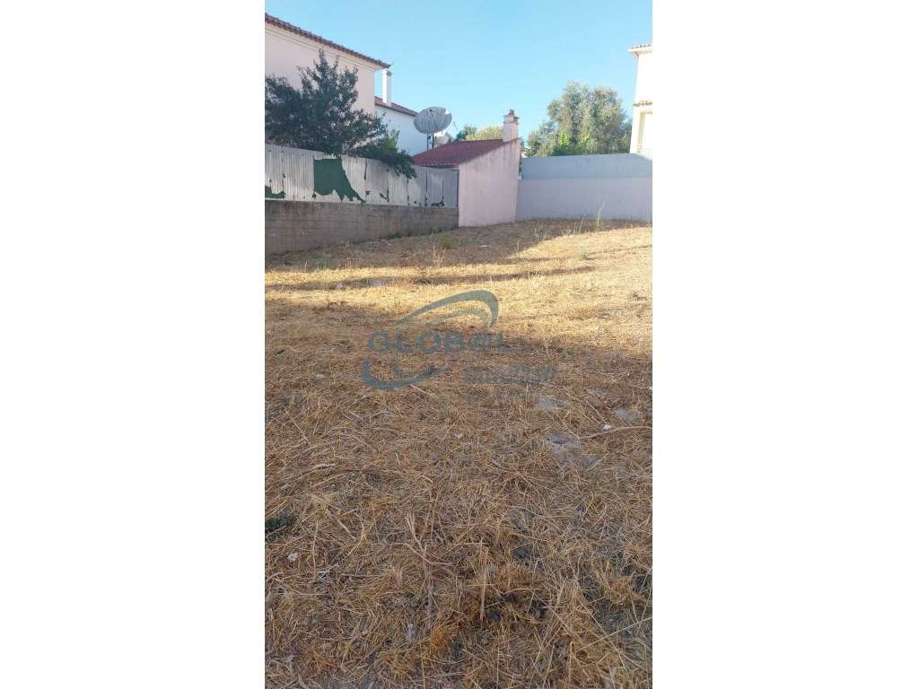 Terreno Venda Torres Novas - Grande imagem: 2/8