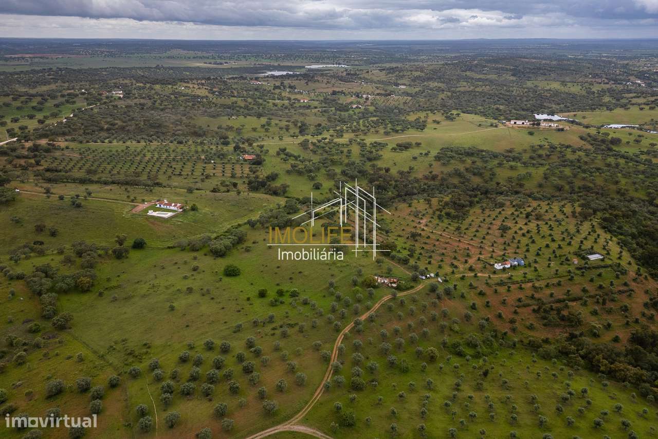 MONTINHO DO CHIADO - MALARRANHA - PAVIA-51