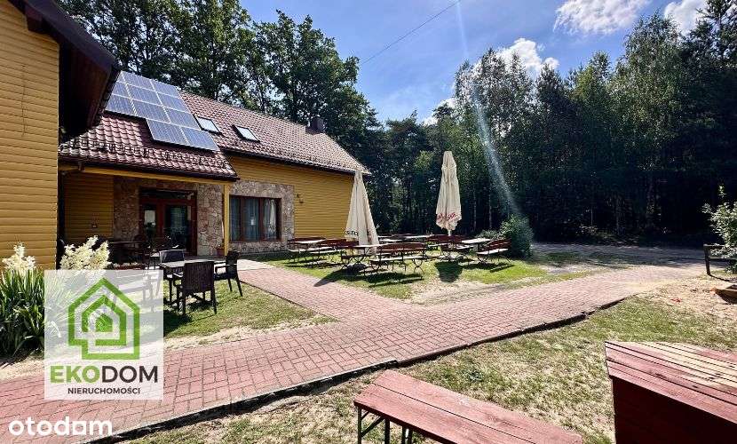 Dochodowa restauracja w pięknej lokalizacji /Piłka - Pełny obrazek: 4/20