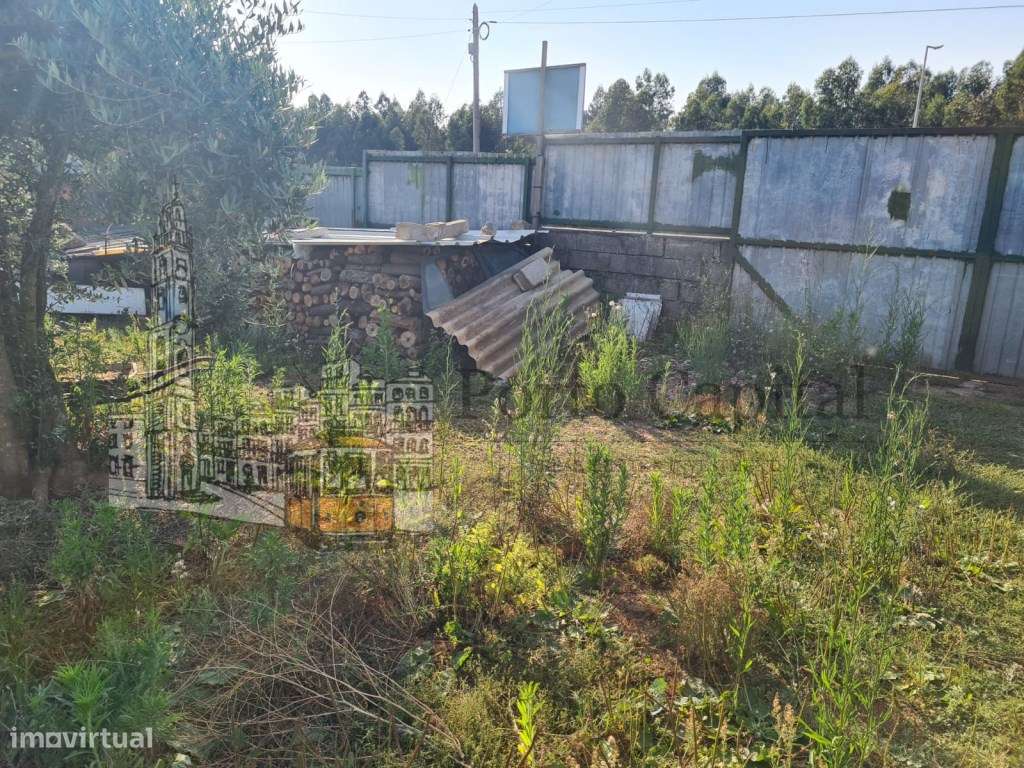 TERRENO PARA CONTRUÇÃO EM NOGUEIRA DA REGEDOURA - Grande imagem: 4/20