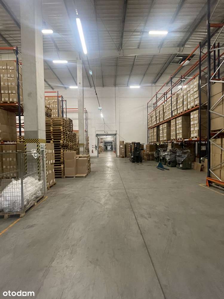 Hala produkcyjno-magazynowa - Janowiec Wielkopolski - Pełny obrazek: 2/8