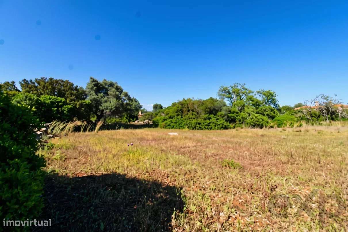 Dois terrenos rústicos planos, vendidos em conjunto, com 7120 m2-6