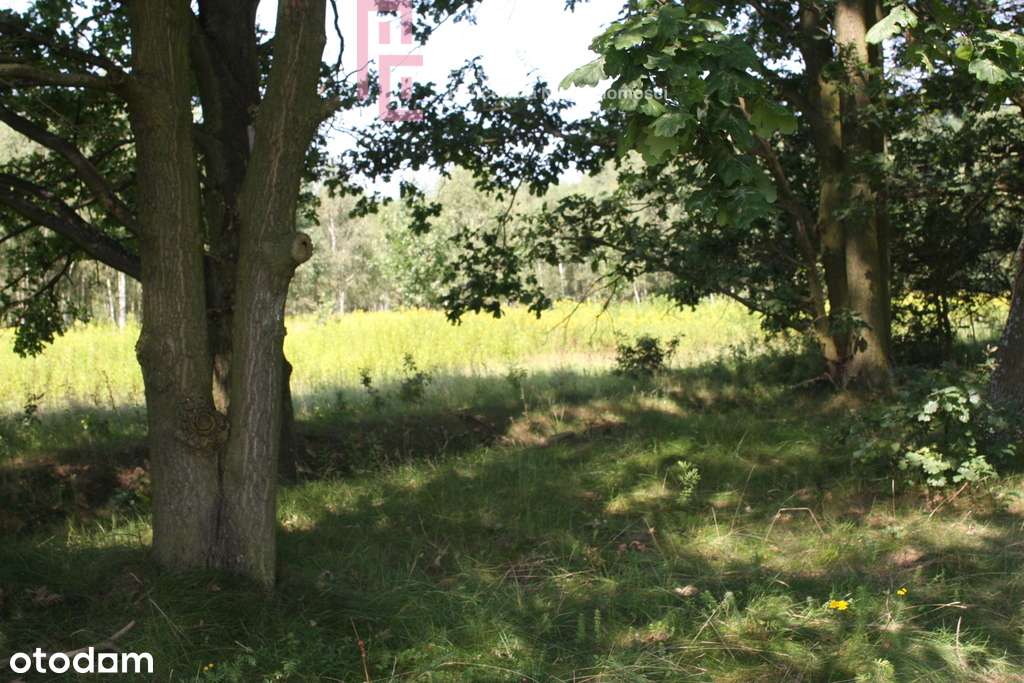 Idealne miejsce dla osób poszukujących spokoju - Pełny obrazek: 5/15