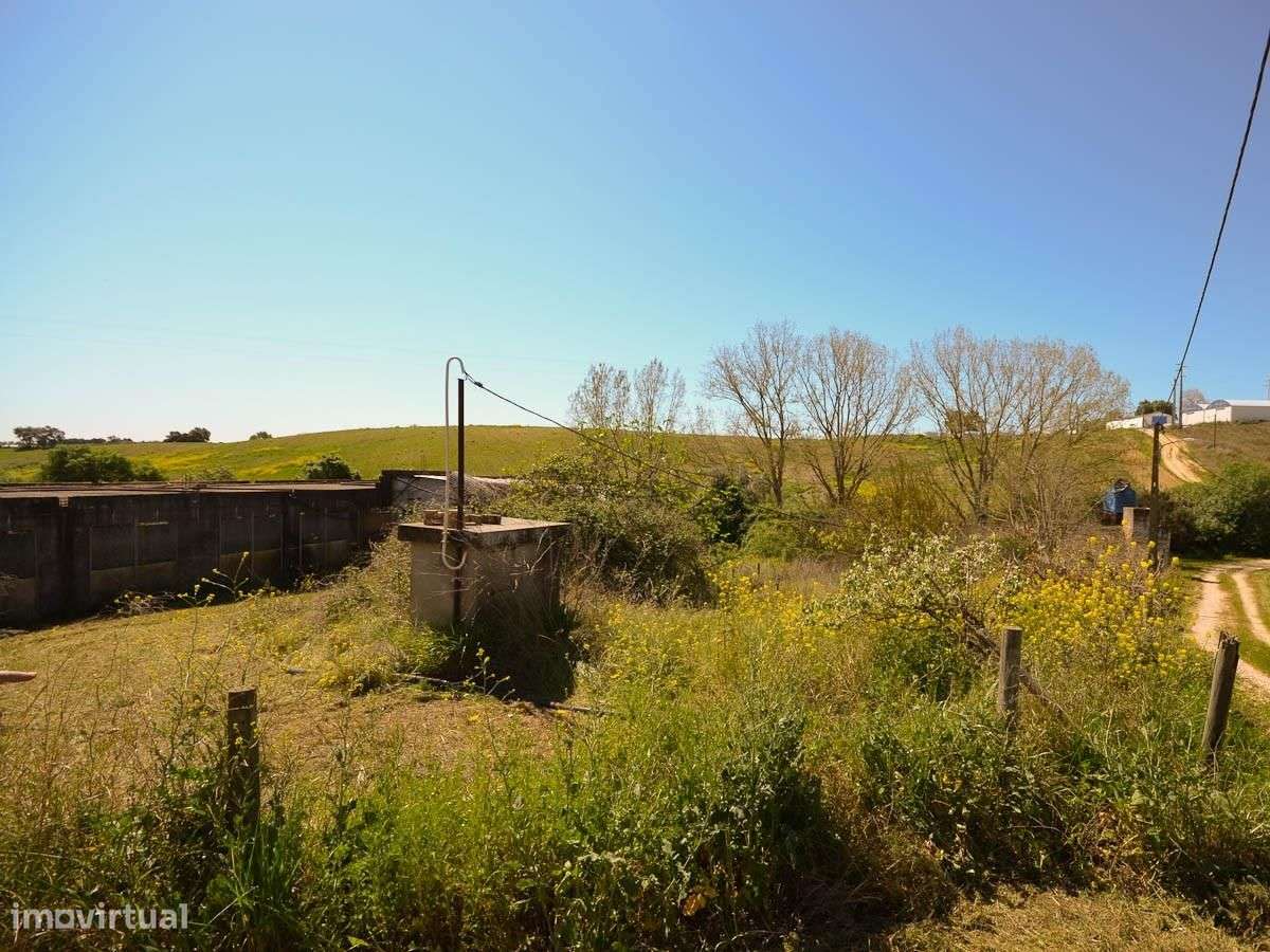 Armazém, Santarém, Póvoa Nova - Grande imagem: 2/11