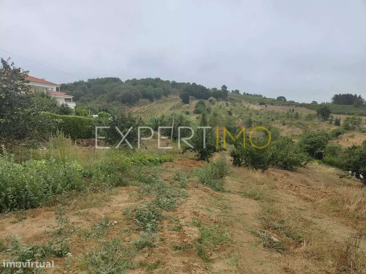Terreno misto para quintinha na Delgada/Bombarral - Grande imagem: 5/18