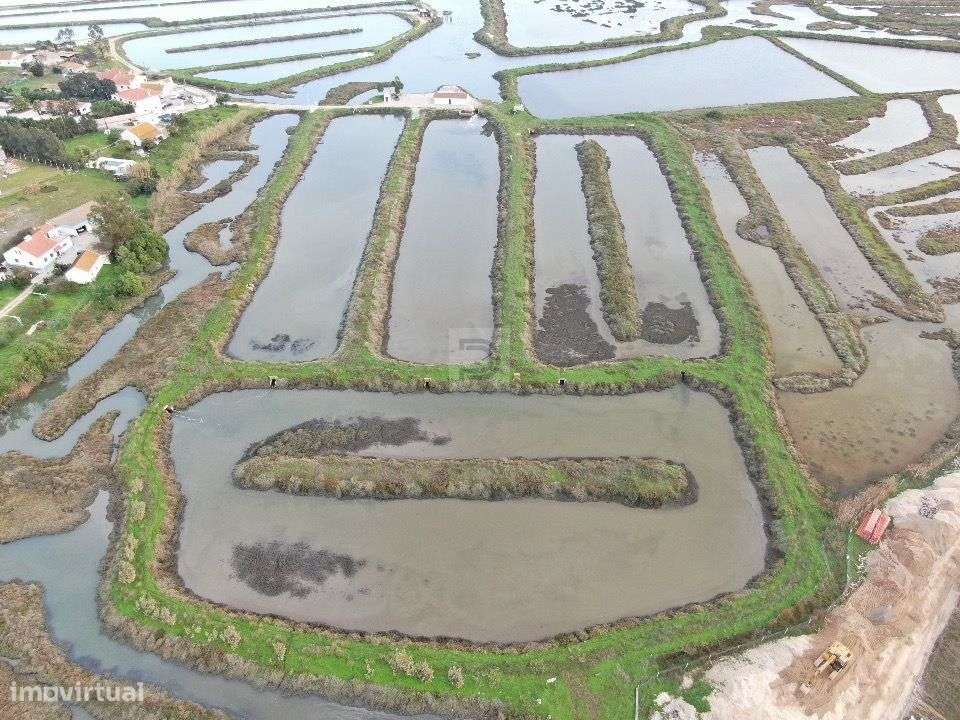 Investimento em terreno para exploração aquícola-1