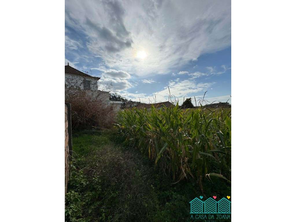 2 Terrenos na Branca - Grande imagem: 4/7