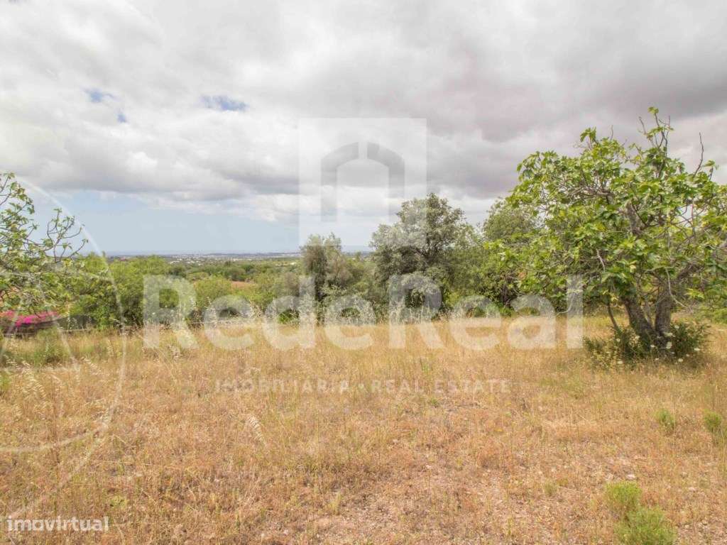 Terreno Rústico, Loulé, Boliqueime - Grande imagem: 3/8