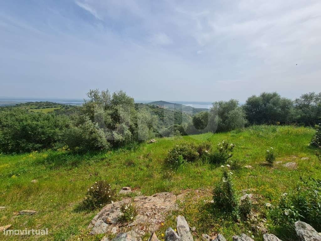 Terreno na Encosta do Castelo de Monsaraz-11
