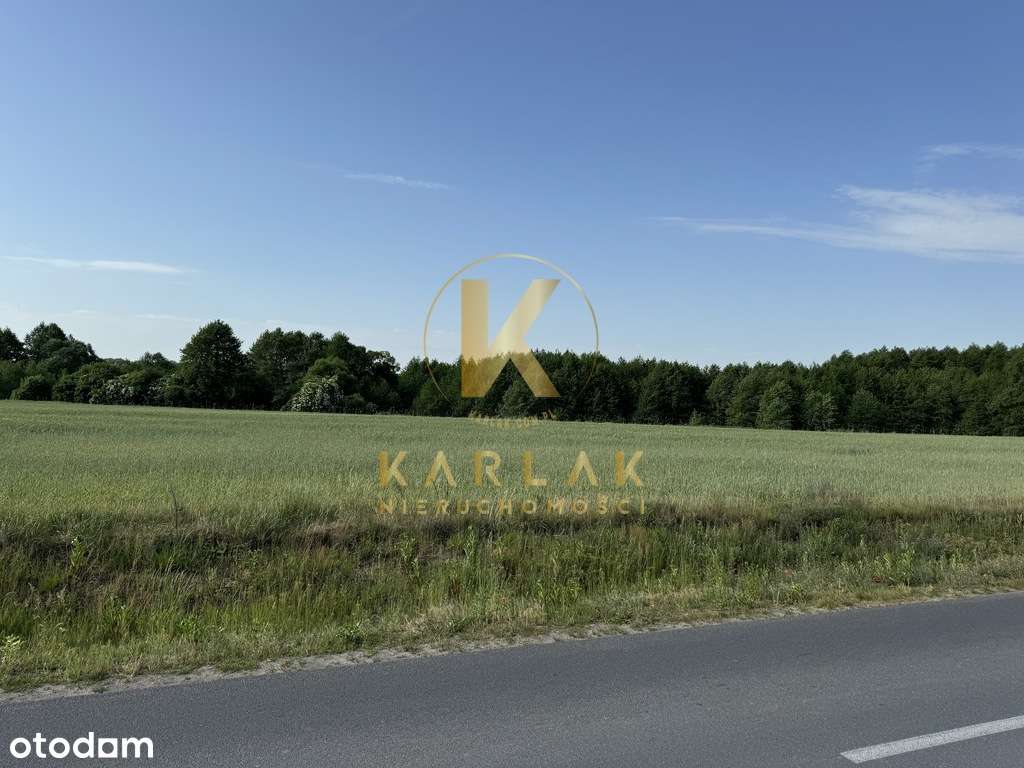 Działka rolna z przyszłością - Pełny obrazek: 4/5