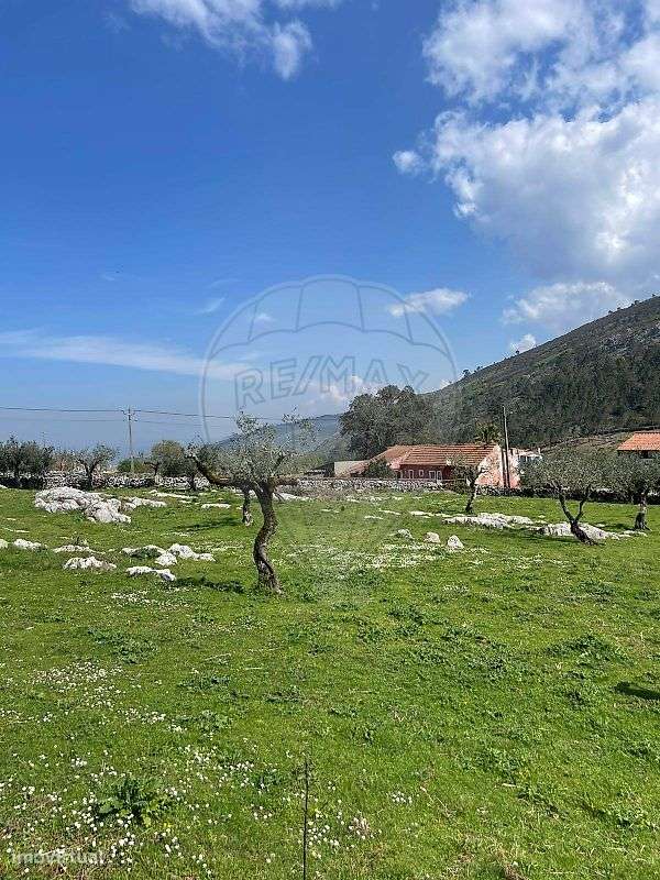 Armazém  para venda - Grande imagem: 5/14