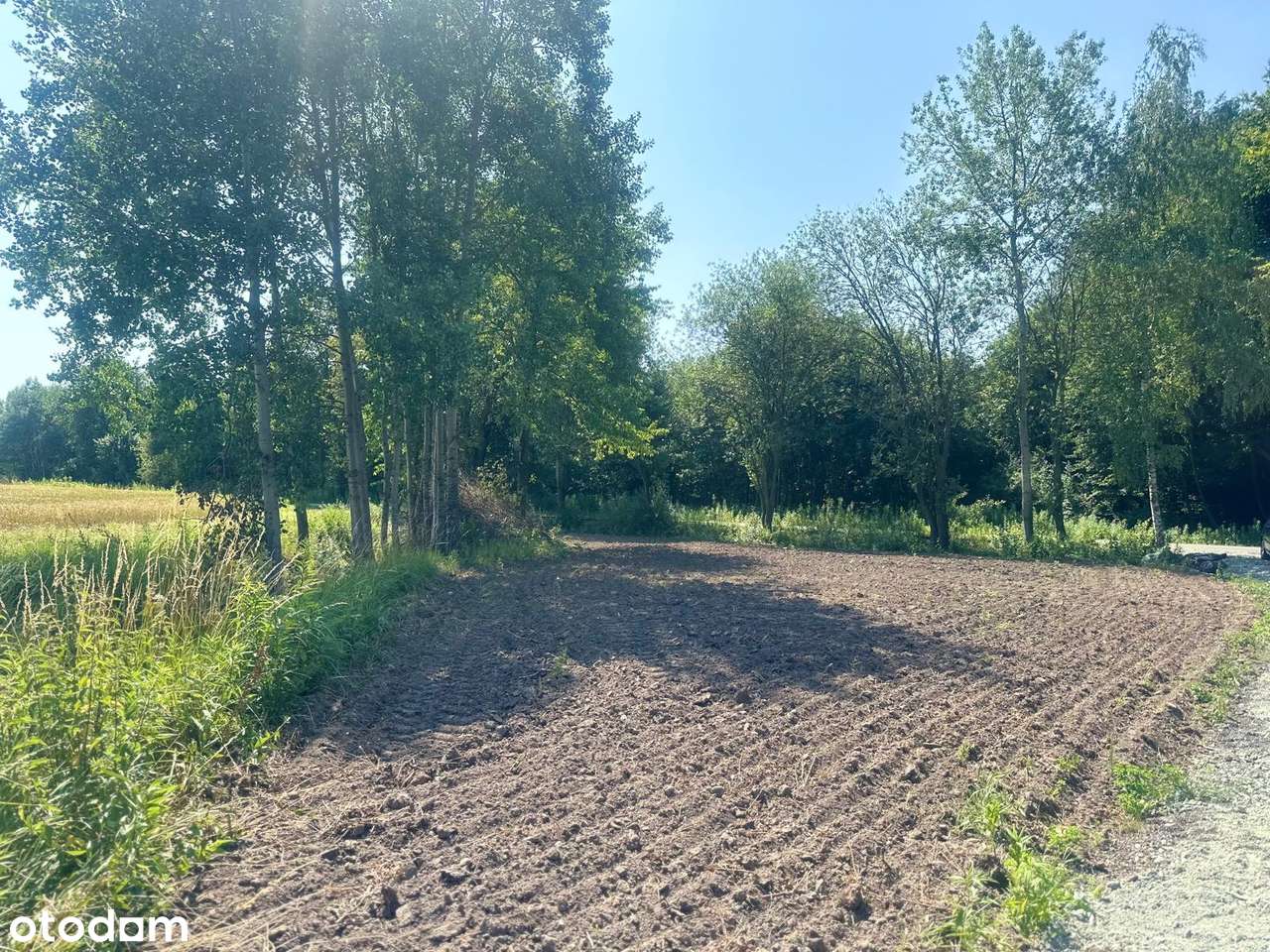 Działka rolna w malowniczej lokalizacji/INWESTYCJA/Las - Pełny obrazek: 5/8