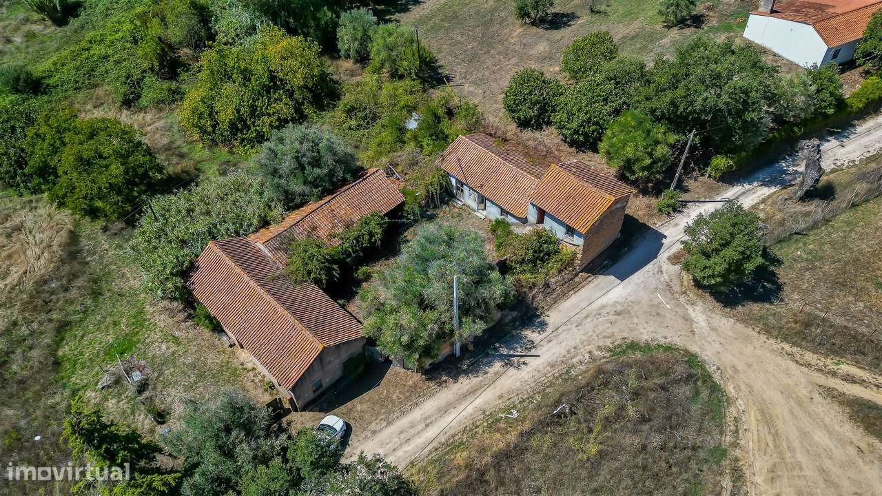 Quinta para remodelar - Torres Novas-26