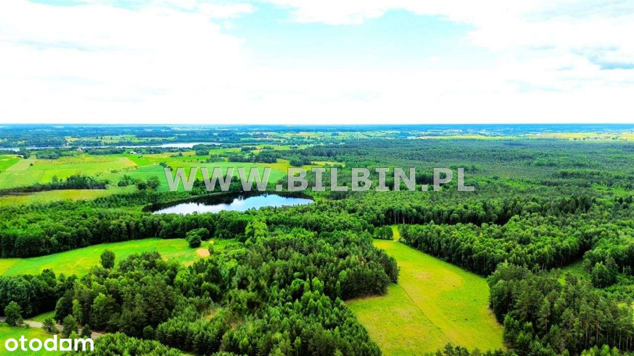 Kup działkę w cichej okolicy ! - Pełny obrazek: 5/5