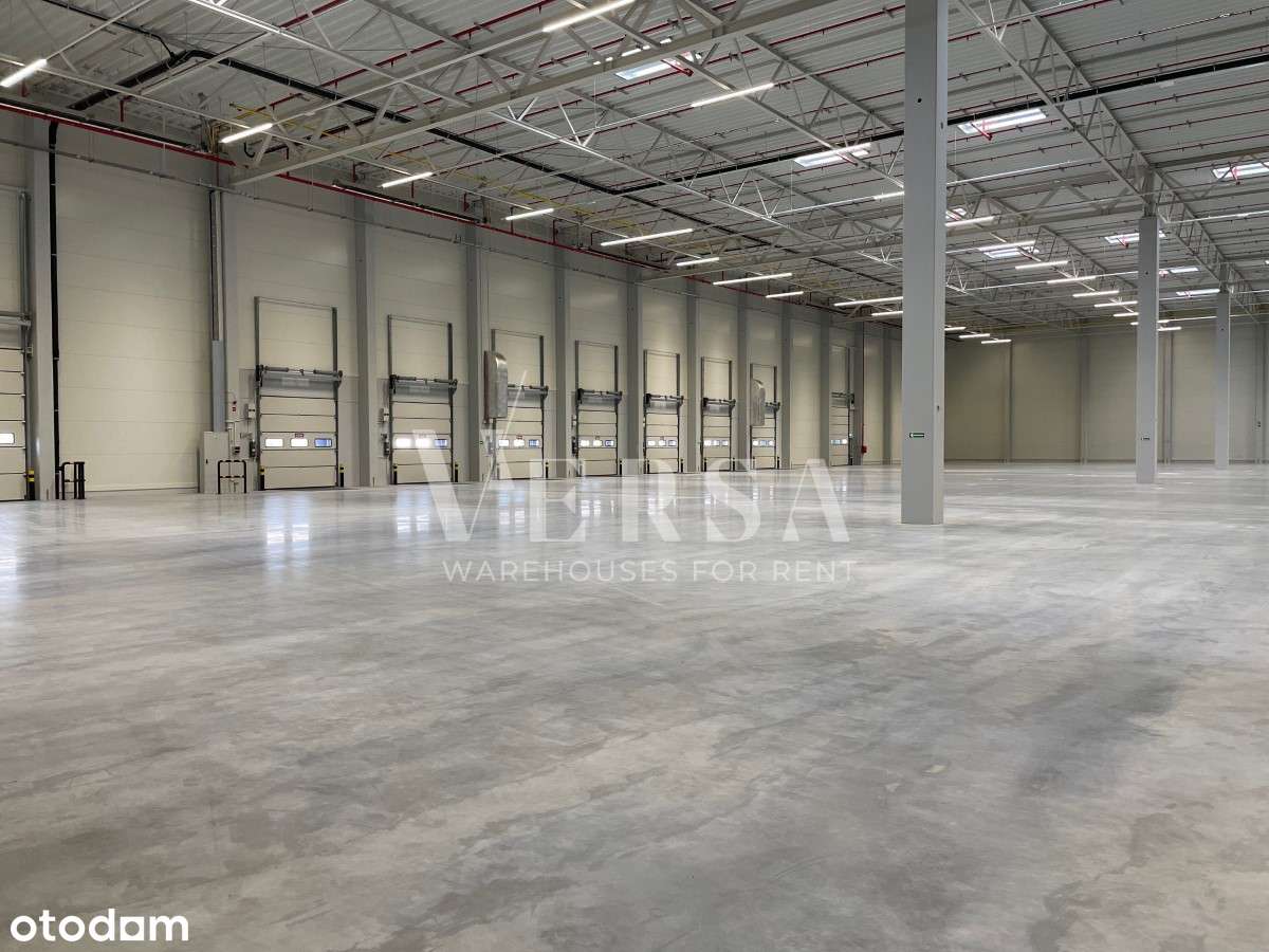 Magazyn 1620 mkw do wynajęcia - 0% Prowizji - Pełny obrazek: 4/9