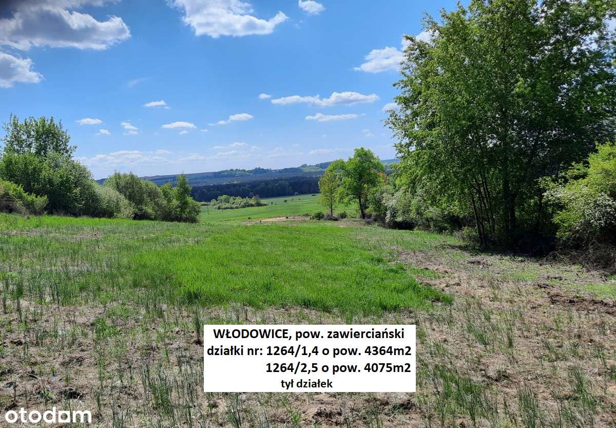 Jura tania działka rolno-budowlana 4075m2-19