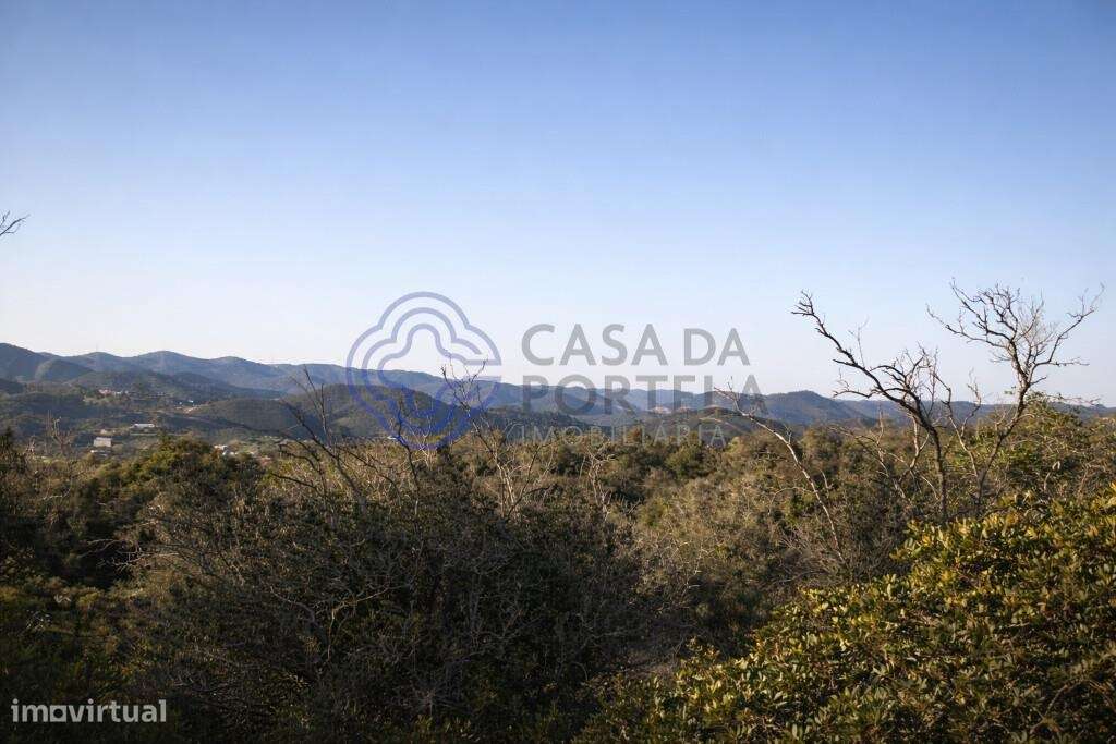 Entre a serra e o litoral. Terreno 4.000 m2 | Construção até 600m2 | 2 - Grande imagem: 4/16