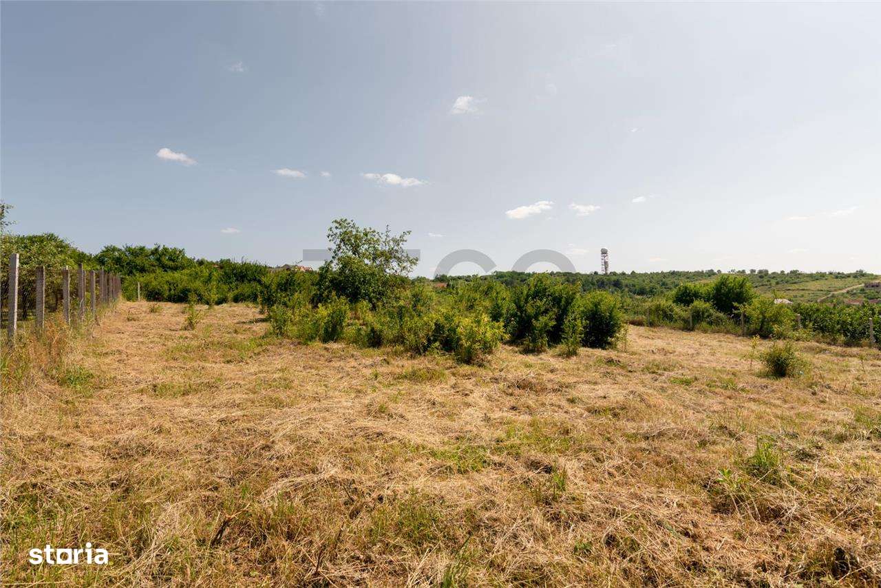 RECO Teren intravilan 1200 mp- front  30ml ,cu utilitati, Paleu - Imagine principală: 3/20