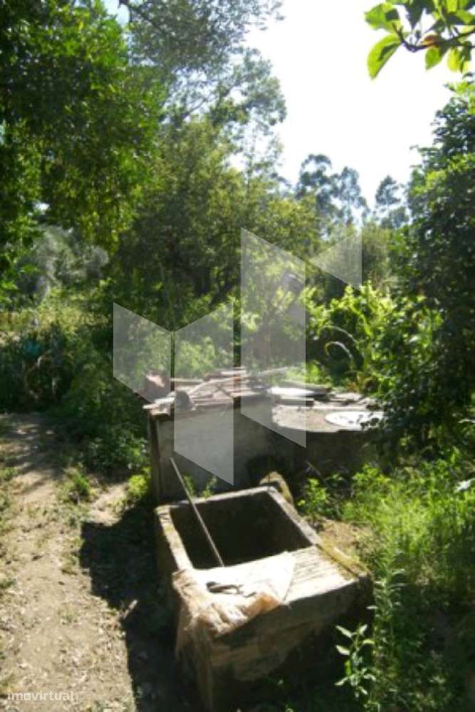 Quintinha, Campo de Besteiros, Tondela - Grande imagem: 4/13