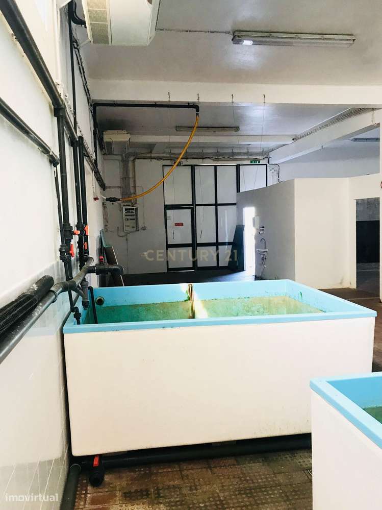 VENDE-SE – ARMAZÉM PRÓXIMO DA PRAIA COM EXCELENTE POTENCIAL DE INVESTI - Grande imagem: 5/9