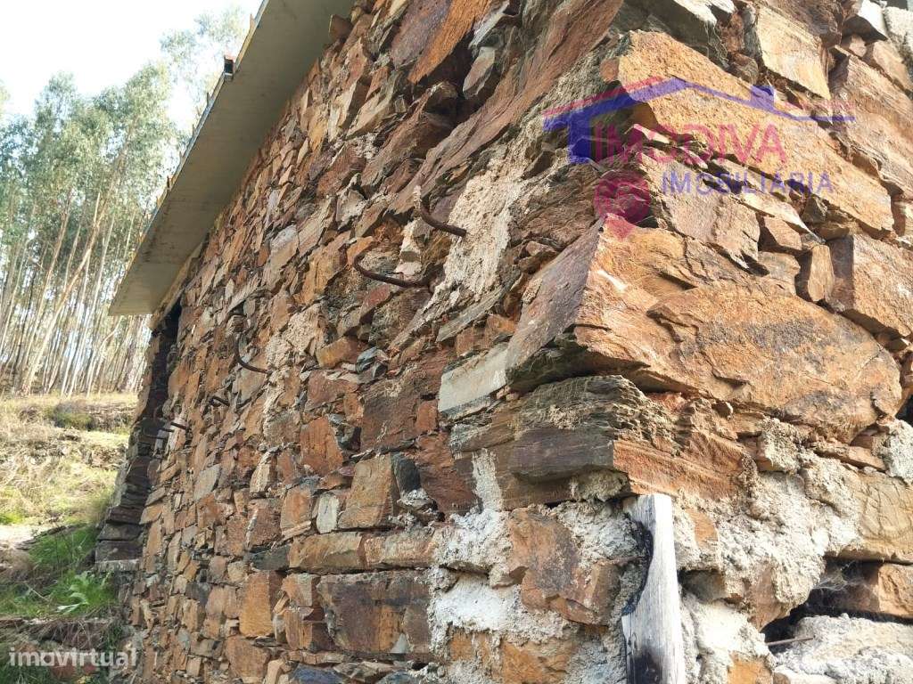 Terreno sustentável em Graça, Pedrogão Grande-15