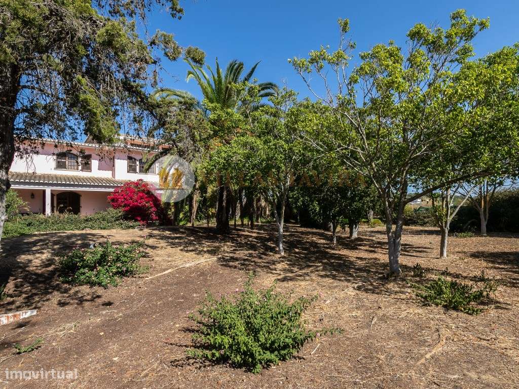 Quinta T4 - Praia de Altura-18