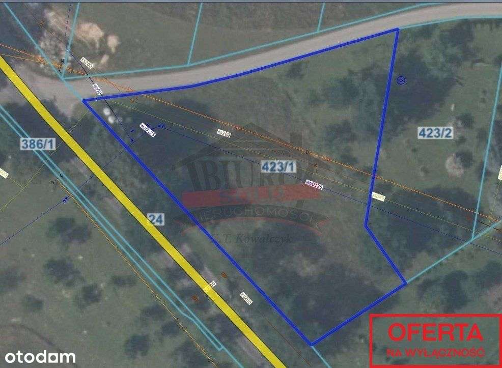 Leksandrowa, piękna działka budowlana 19,25 a - Pełny obrazek: 4/4