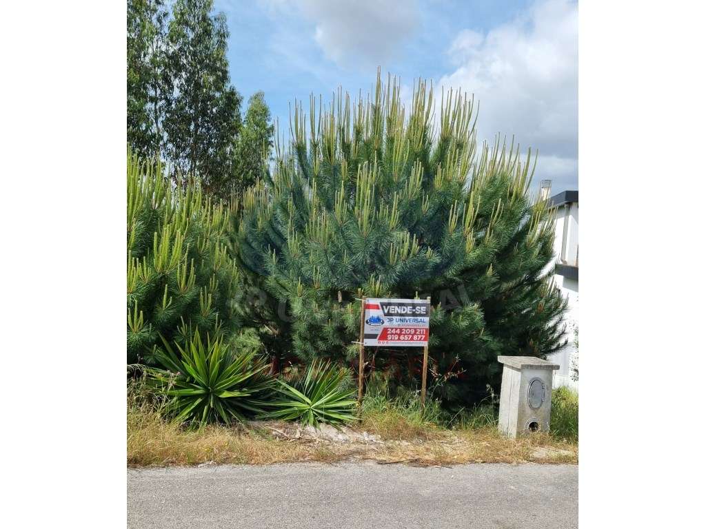 TERRENO VENDA PARA CONSTRUÇÃO DE MORADIA SITUADO EM CAMPO AMARELO ,... - Grande imagem: 2/3