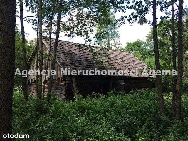 Działka, 5 303 m², Osłowo - Pełny obrazek: 5/9