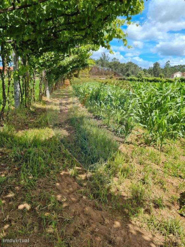 Terreno  para venda - Grande imagem: 5/6