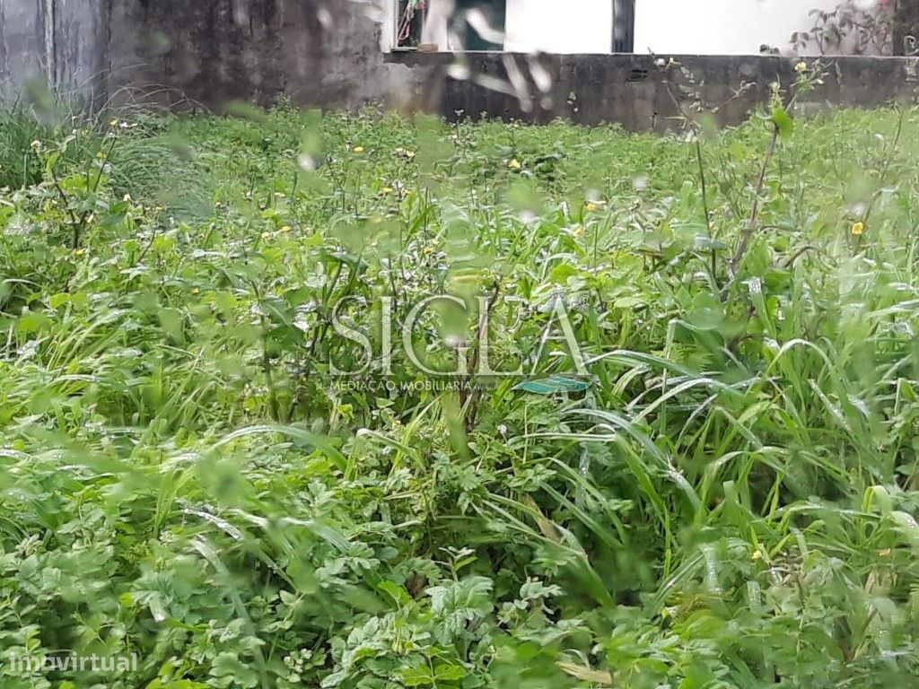 Terreno na Madalena - Grande imagem: 1/1