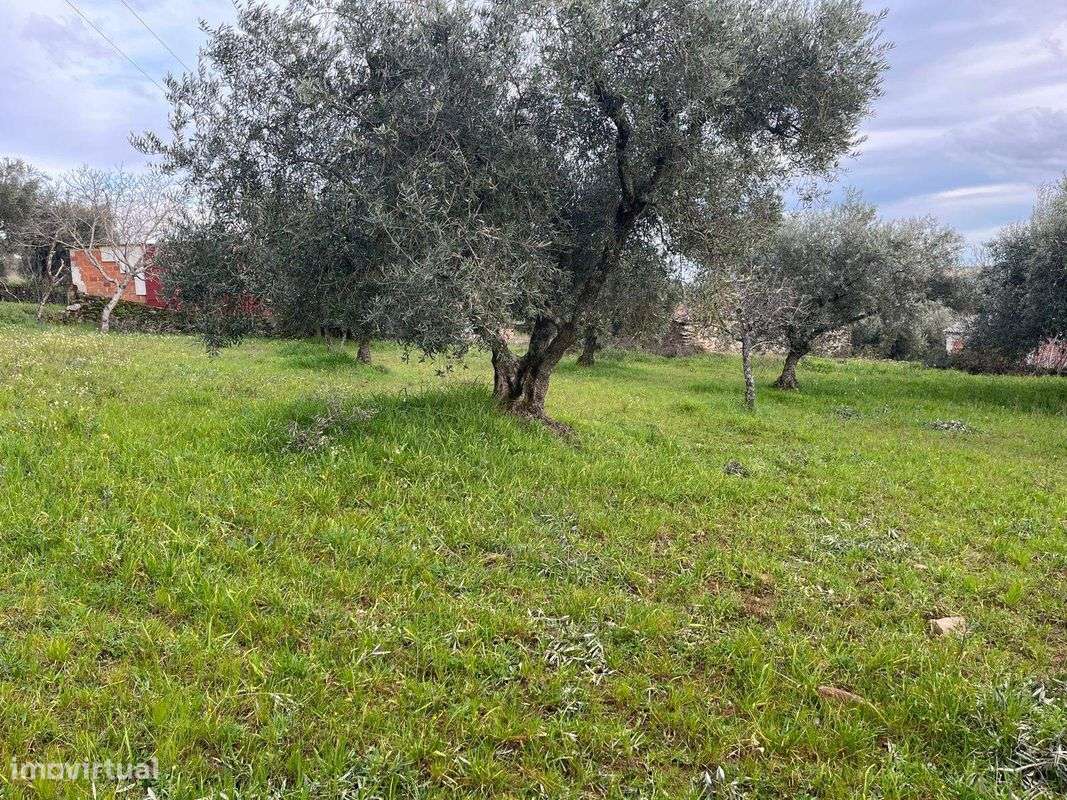 Moradia T3 para venda - Grande imagem: 2/11