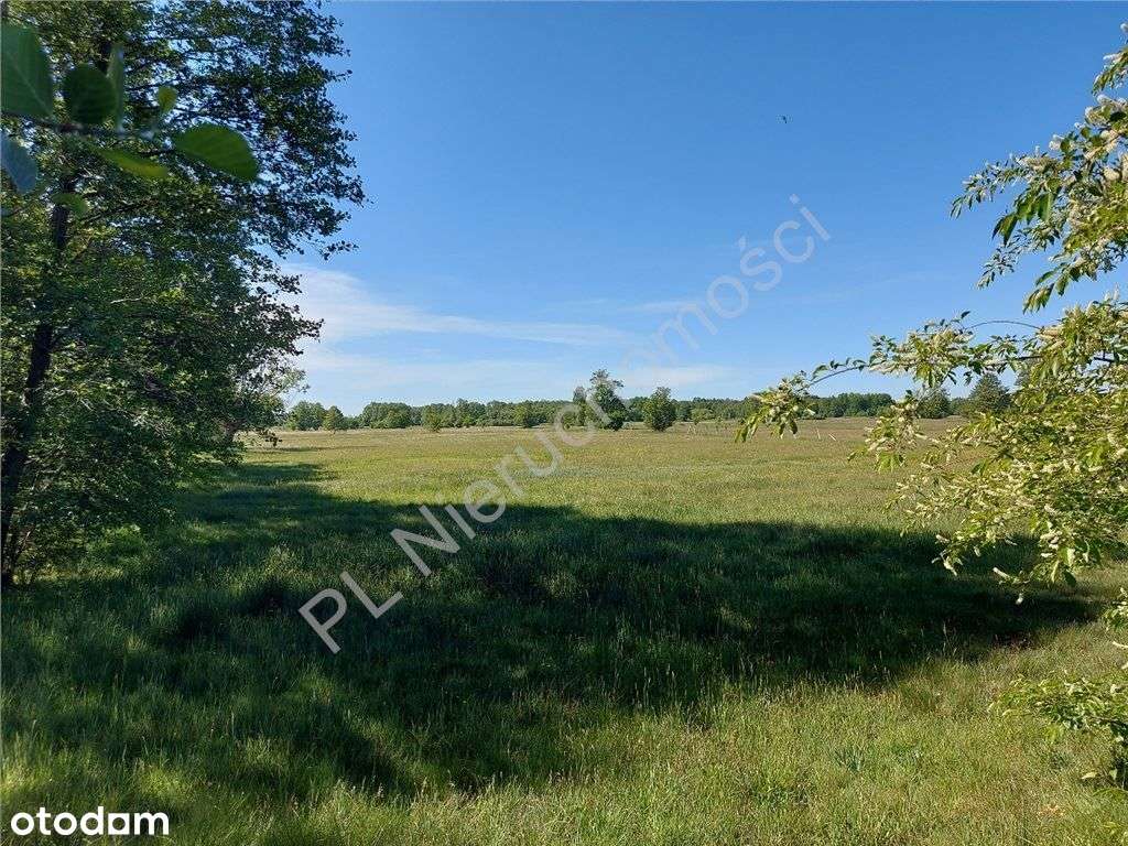 Dogodne Wymiary, Media, Magiczny Widok.-8