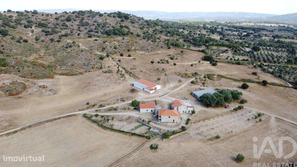 Quinta agricola T7 em Lajeosa do Mondego - Grande imagem: 5/40
