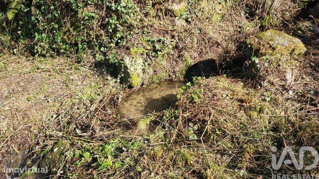 Terreno Agrícola em Cortiçô da Serra, Vide entre Vinhas e Salgueirais - Mais