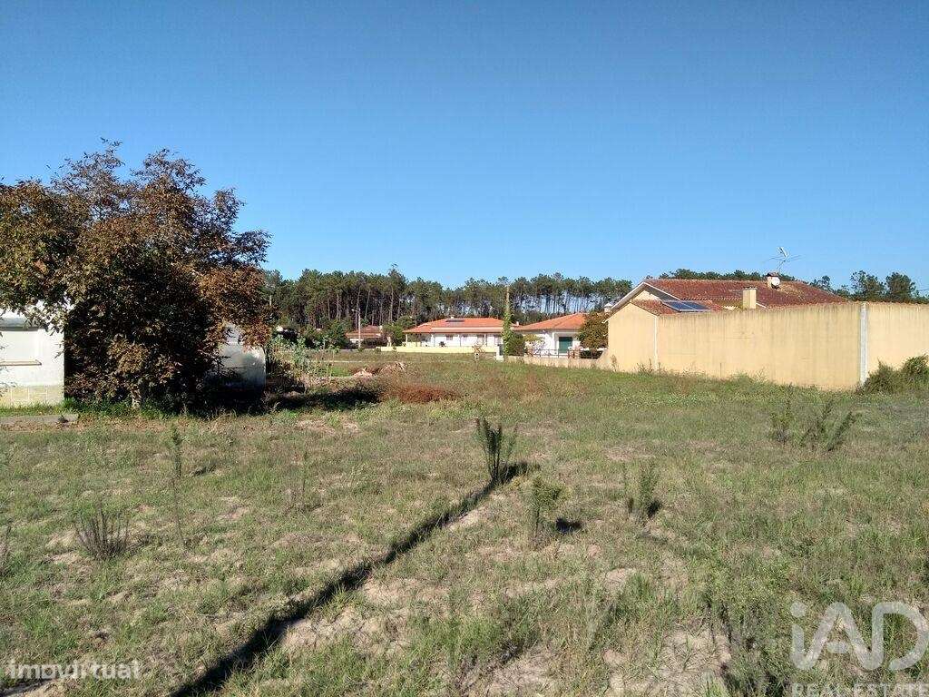 Terreno para construção em Monte Redondo e Carreira de 2300,00 m2 - Grande imagem: 4/26