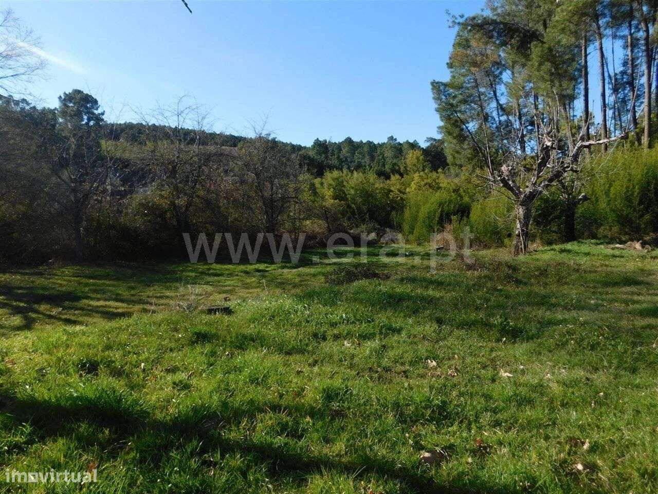 Terreno Rústico / Fundão, Alcaide - Grande imagem: 2/3