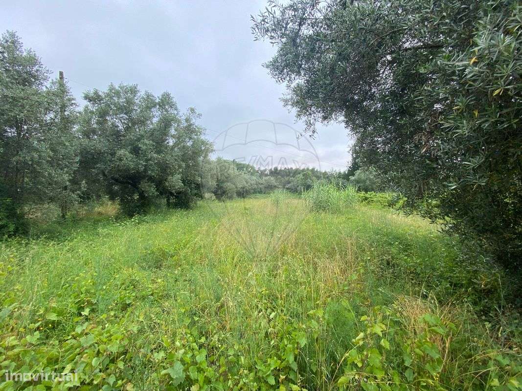 Terreno  para venda - Grande imagem: 4/18