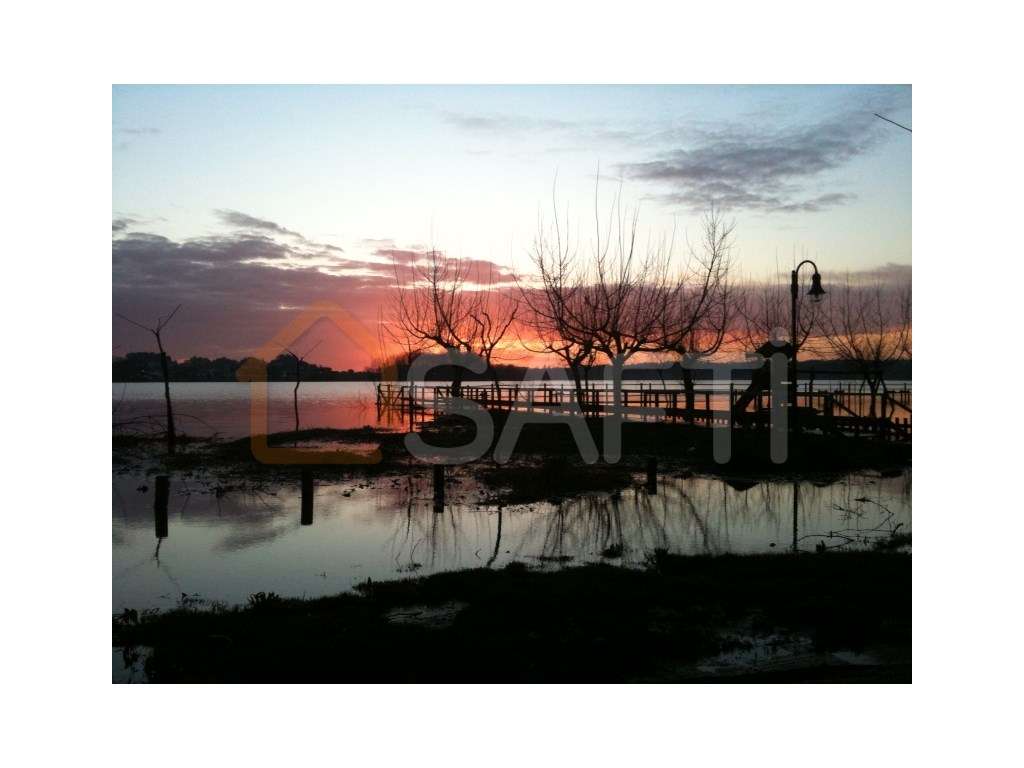 Oportunidade Única de Investimento - Grande imagem: 5/7