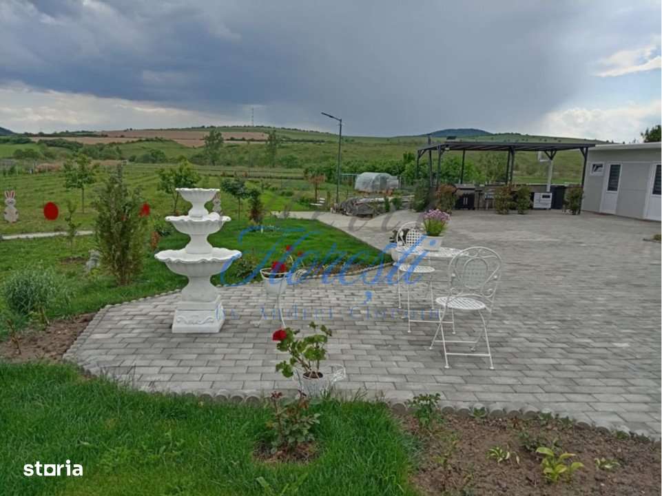Casa 3 camere + plantatie de zmeura, 200 mp, Fodora, Cluj - Imagine principală: 2/7