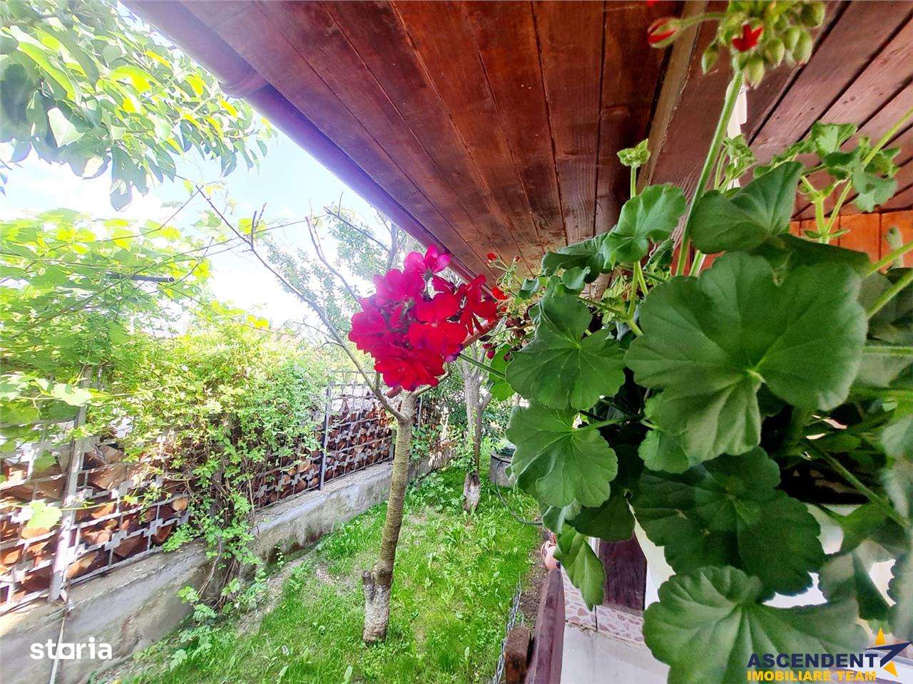 Vila luminoasa, gradina proprie, priveliste panoramica spre munti, Har - Imagine principală: 4/20